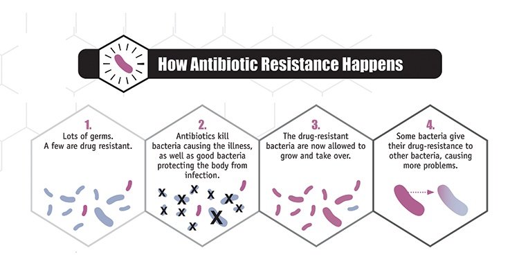 2-How-Antibiotic-Resistence-Happens.jpg