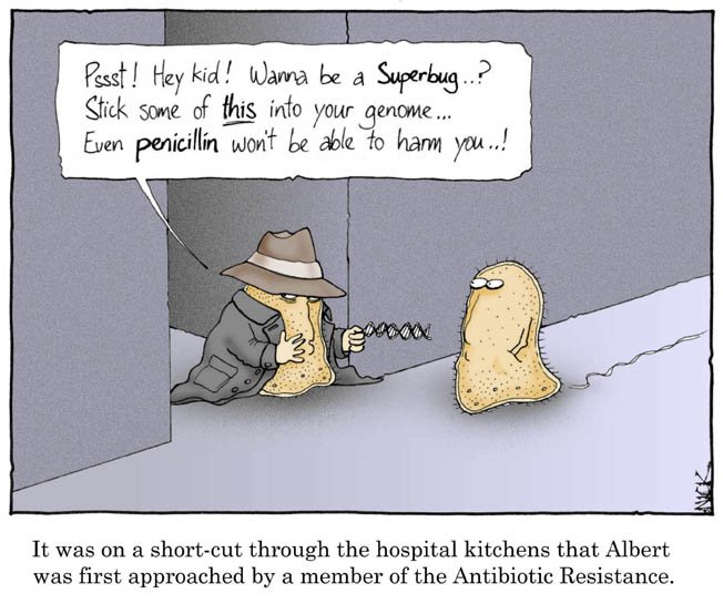 antibiotic_resistance.jpg