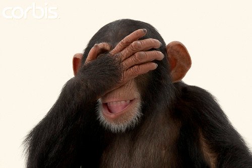 Chimpanzee with Hand Over Eyes